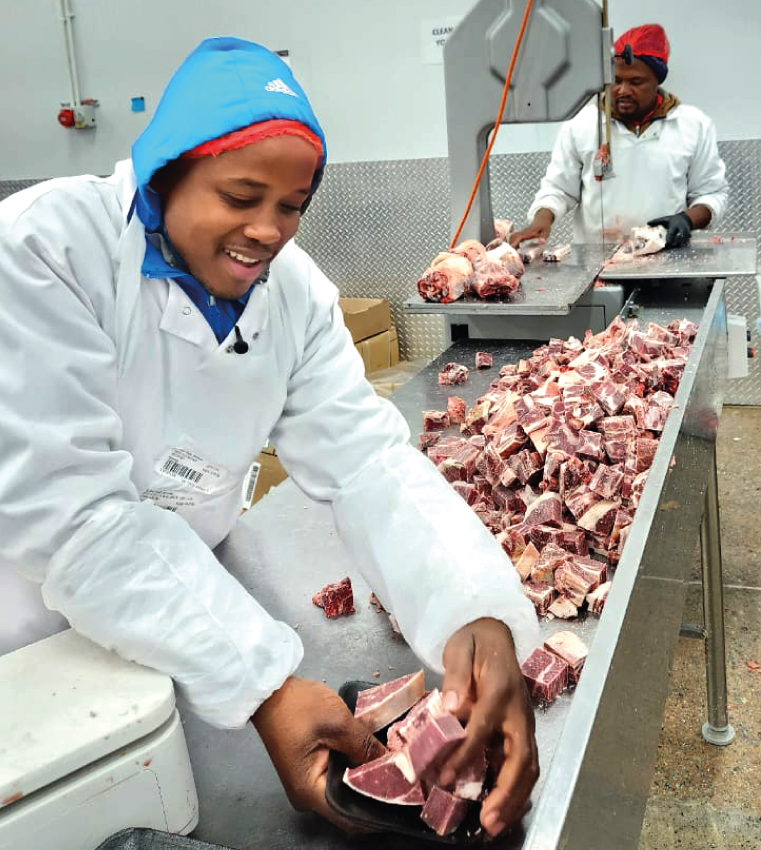 Segano Projects Beef